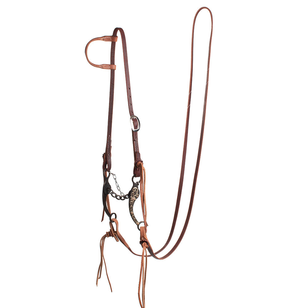 Patrick Smith One Ear Chain Bit Bridle Rig