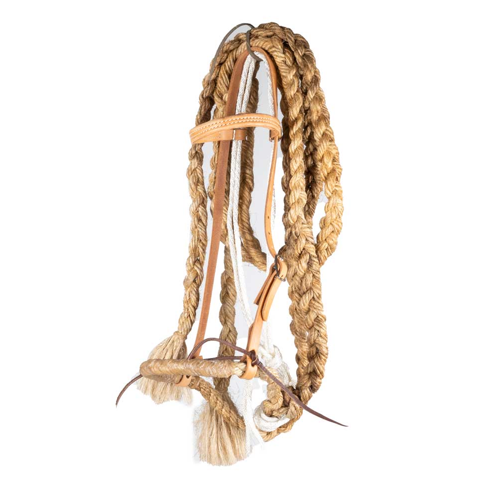 Teskey's Headstall with Braided Split Reins