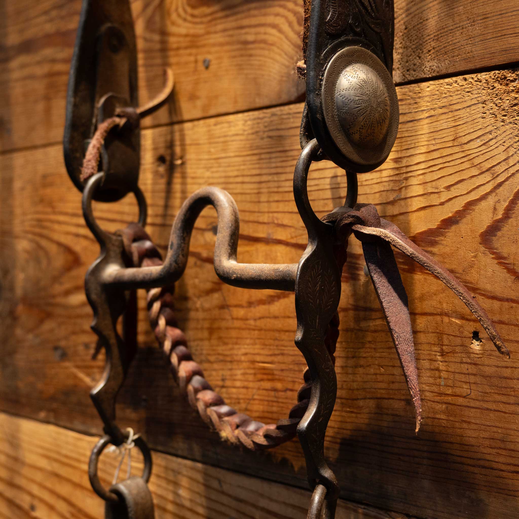 Beurman Diamond Concho Ported Bit Bridle Rig