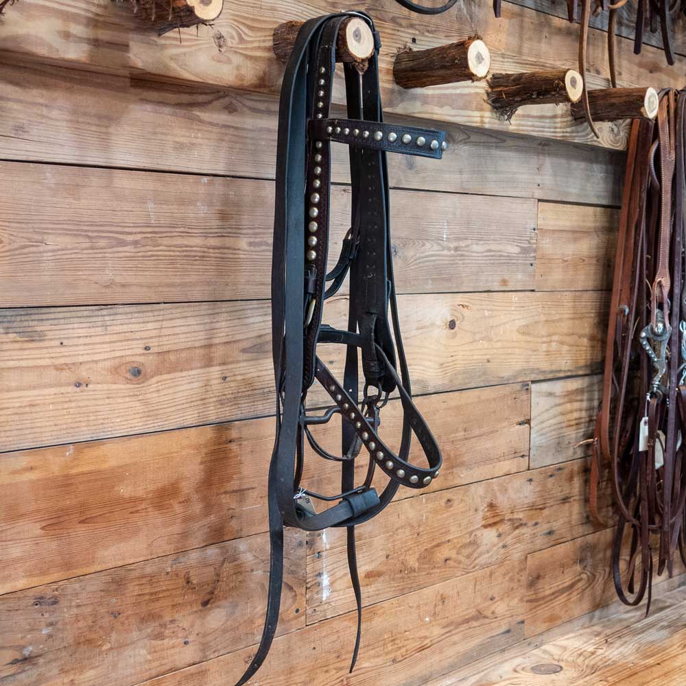 Vintage Black Cavesson Bridle Rig