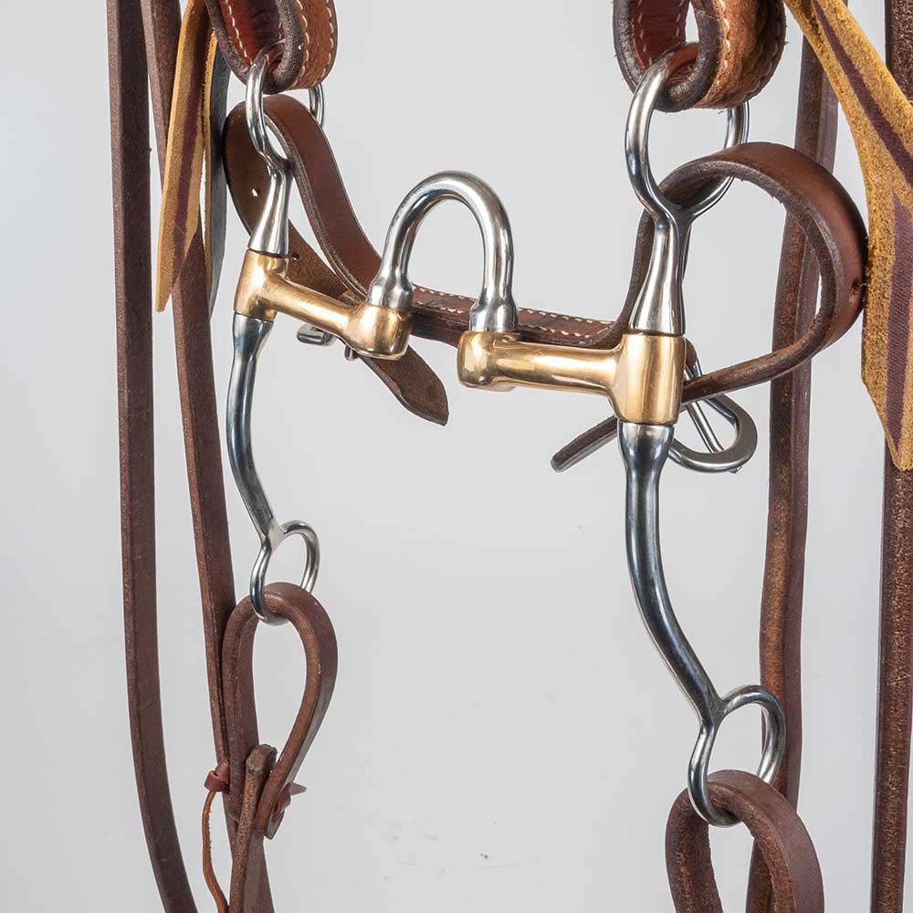 Teskey's Correction Bit Bridle Rig