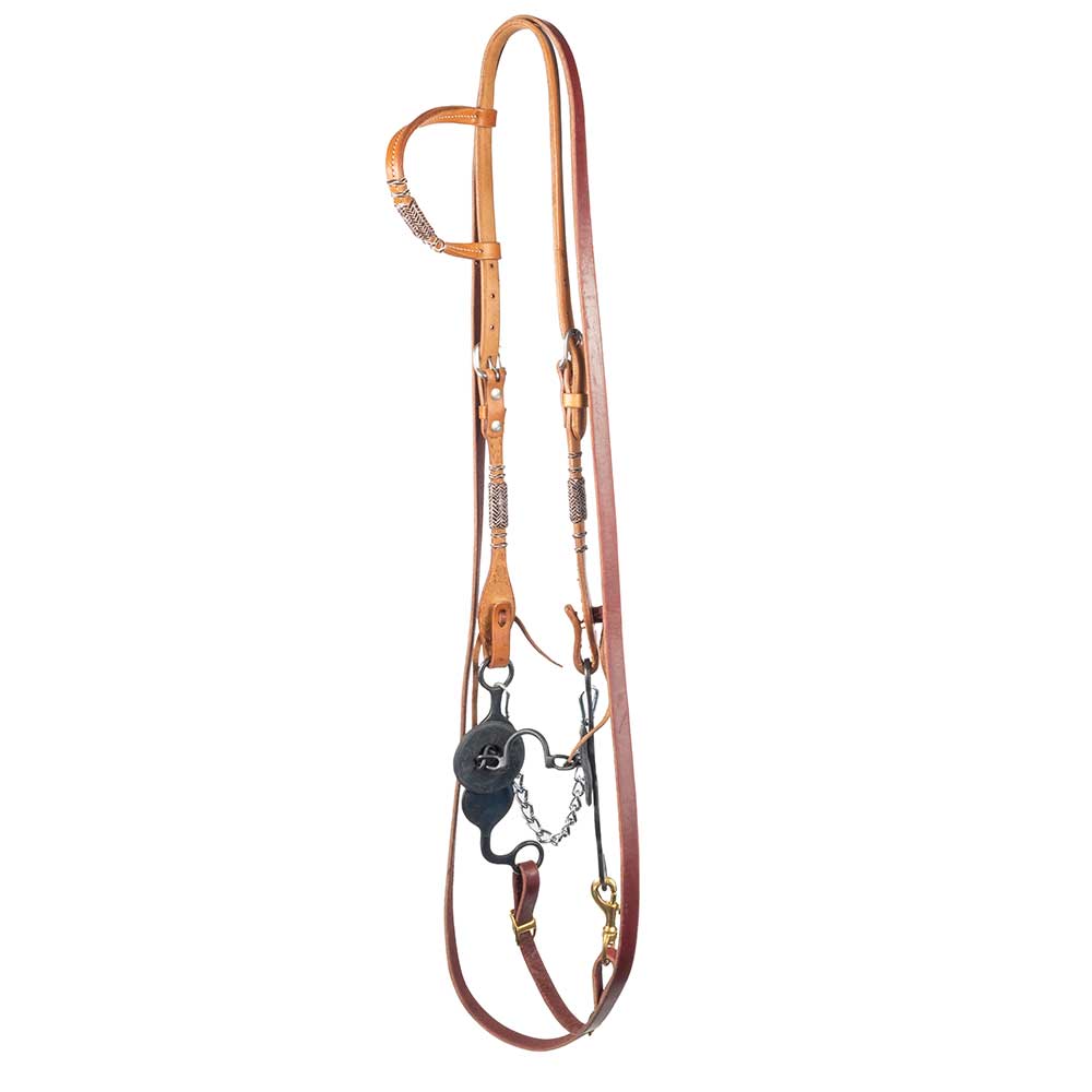 Teskey's Ported Chain Bridle Rig