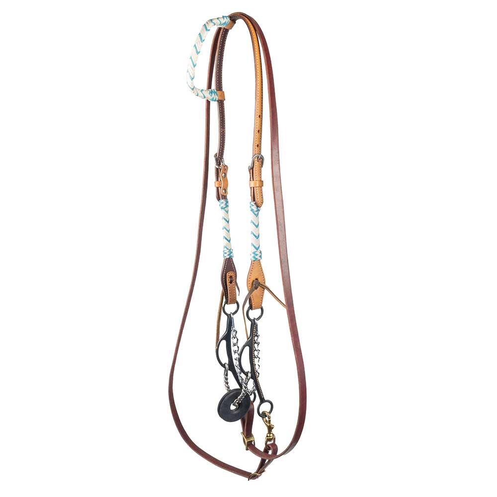 Teskey's Twisted Wire Sliding Gag Bridle Rig