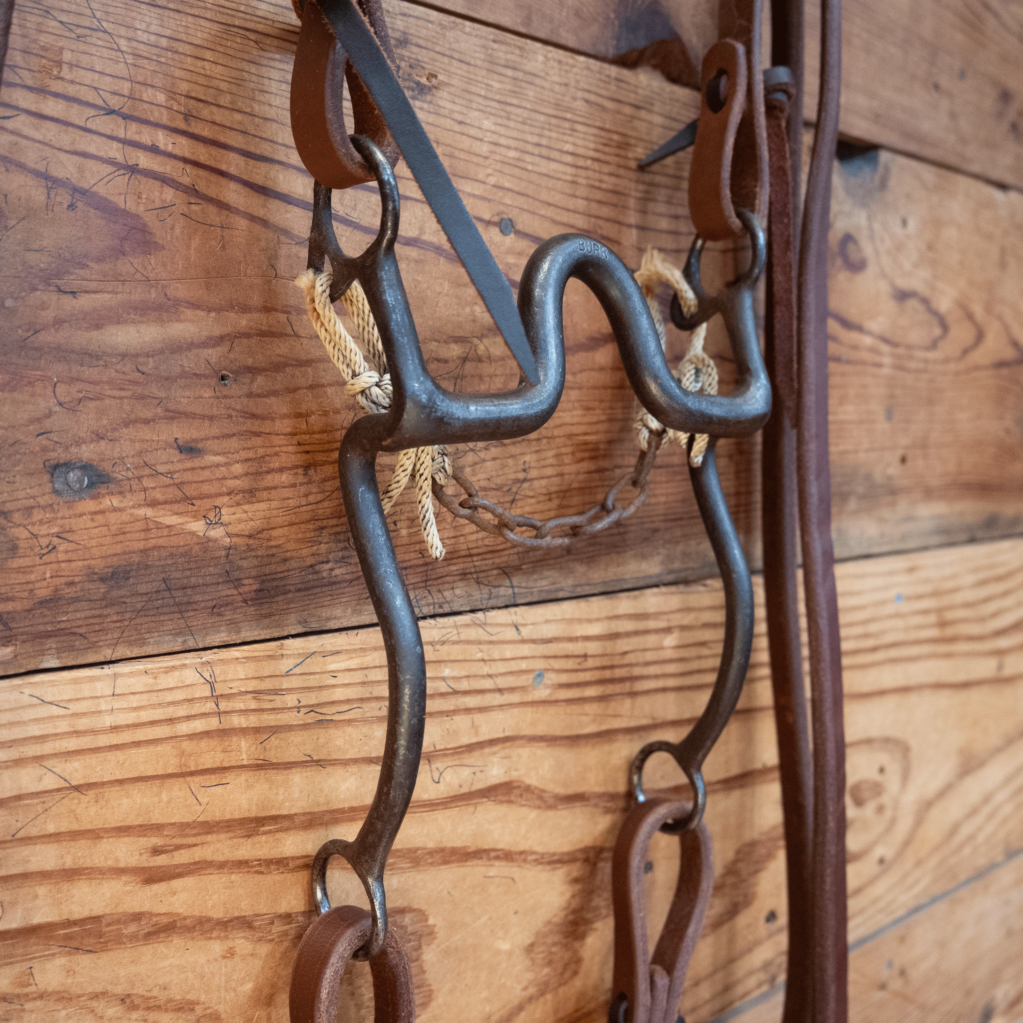 "Burr" Port Bit Bridle Rig