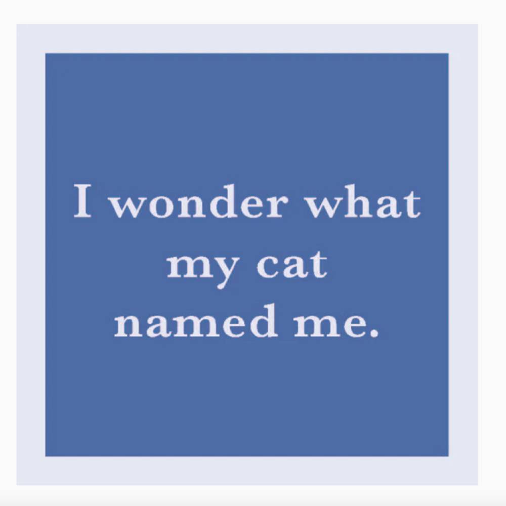 "Cat Named Me" Coaster