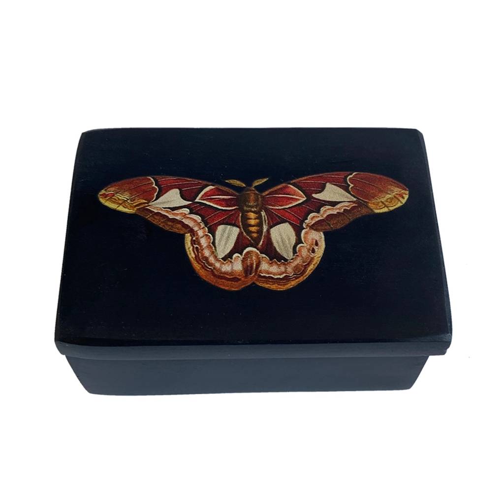 Atlas Moth Black Soapstone Trinket Box