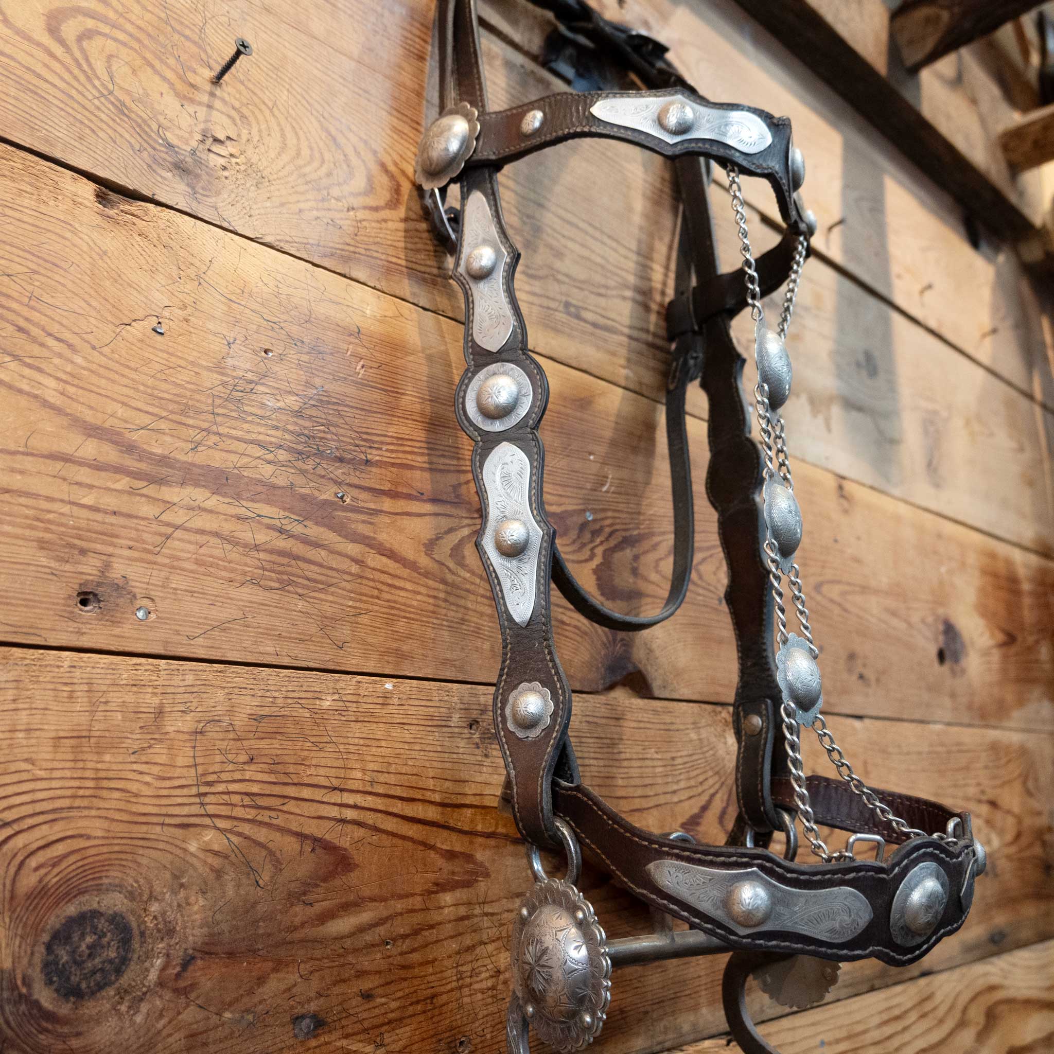 Parade Bridle Set w/ Sterling Silver Conchos