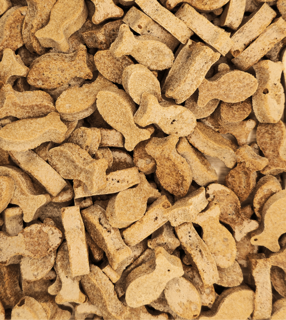 Ocean Purr-Fect Delights Organic Cat Treats From Glamorous Pups