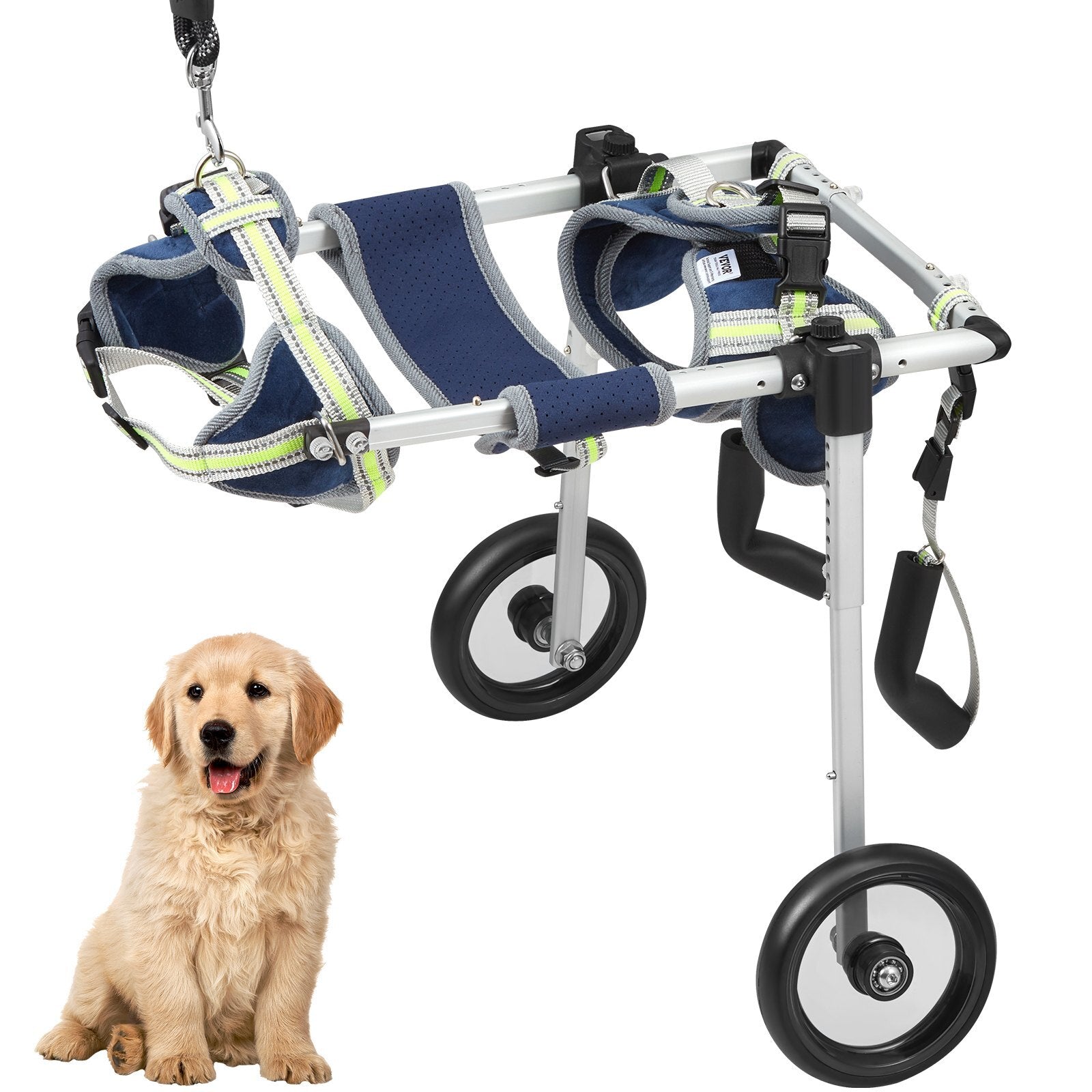 GlamourStride XS Dog Wheelchair  Lightweight 2-Wheel Mobility Support for Back Legs