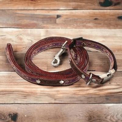"The Django" Designer Dog Collar Set by Finnegan's