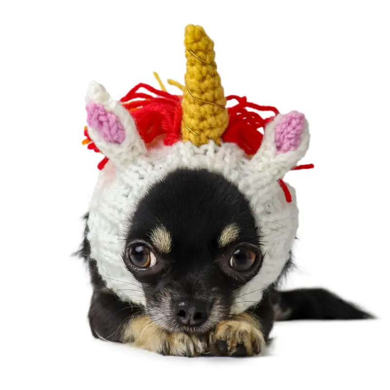 Zoo Snoods Unicorn Costume for Dogs & Cats, Small - Warm No Flap Ear Wrap Hood for Pets, Dog Outfit for Winters, Halloween, Chri