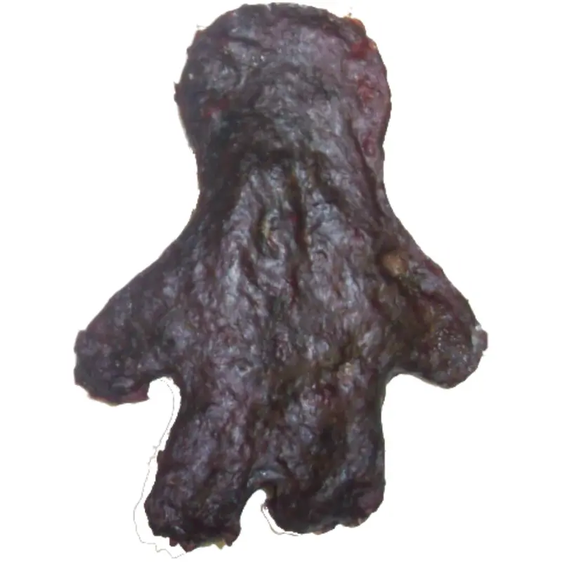 Blue Ribbon Vibran-Sea Color Burst Florals Gravel Base Pacifica Plant