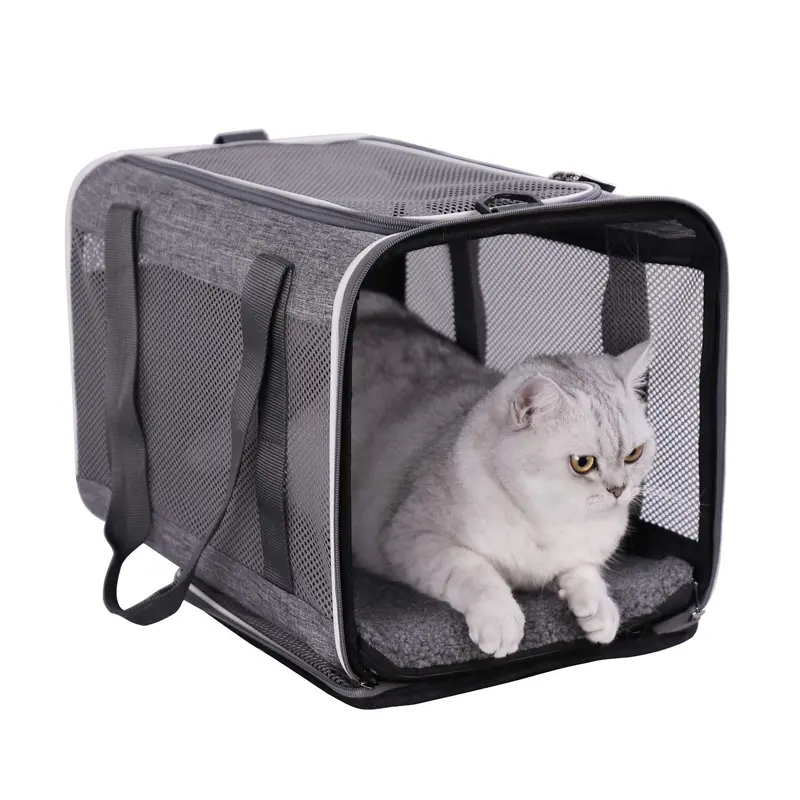 petisfam Soft Pet Carrier Bag for Cats and Puppy Under 20 lbs. Sturdy, Safe, Comfortable and Lightweight