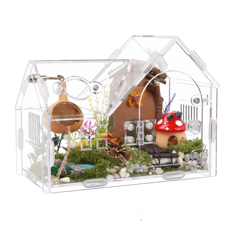 Acrylic Jumping Spider Enclosure with Magnetic Door - Transparent Tarantula Terrarium for Pet Spiders - Secure & Ventilated Rept