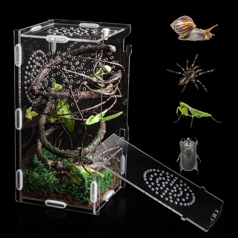 Acrylic Reptile Terrarium,8''*4''*4'' Mini Jumping Spider Enclosure Feeding Box With Secure Lock For Tarantula, Insects, Frogs,