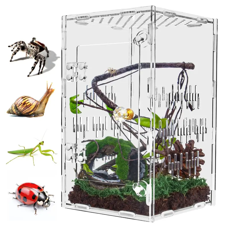 TCooSo Large Acrylic Jumping Spider Enclosure 10x6x6 Ventilated Insect Terrarium for Tarantulas, Snails, Lizards, Clear